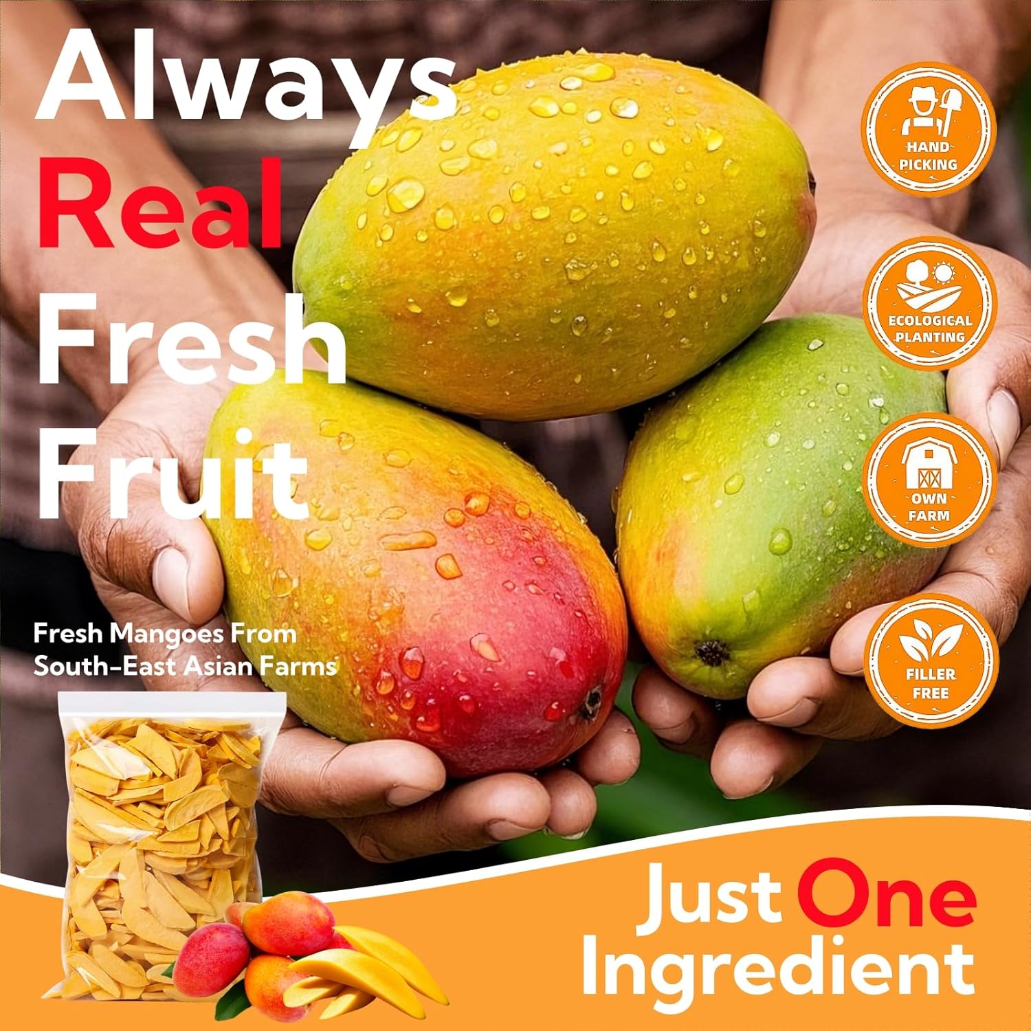 Freeze Dried Mango 5.6oz/160g,Premium Dried Mangoes,Solely Mango,No Sugar Added,Without Any Additives,Freeze Dried Crispy Fruit,Natural Dehydrated Mango,Dried Mango Chips Snacks - Image 2